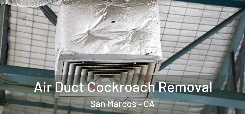 Air Duct Cockroach Removal San Marcos - CA