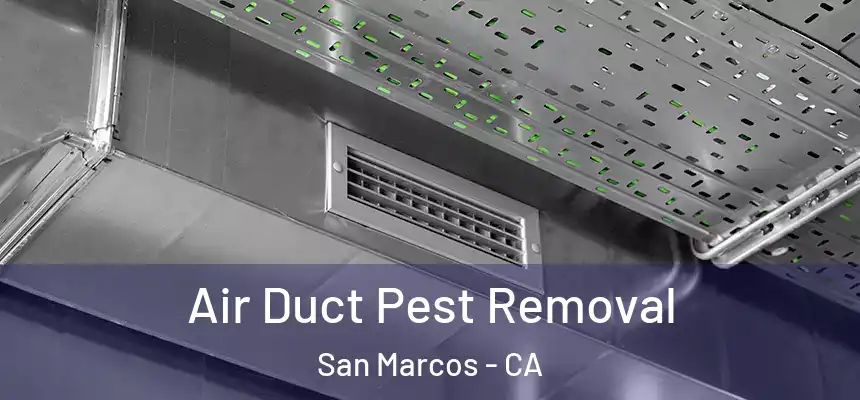 Air Duct Pest Removal San Marcos - CA