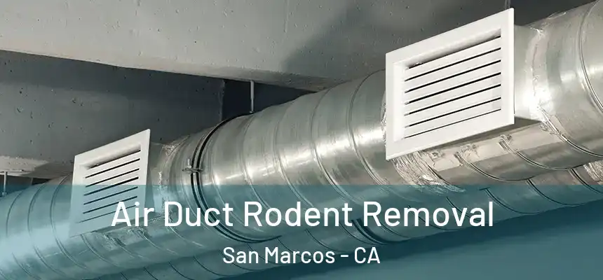 Air Duct Rodent Removal San Marcos - CA