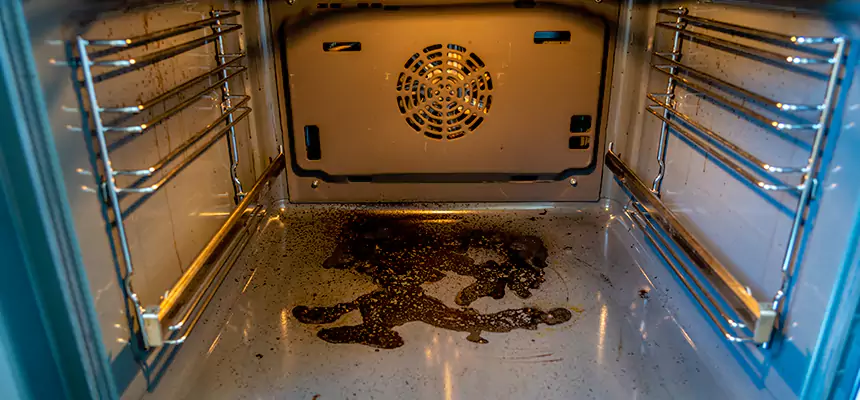 Our Dryer Vent Mold Cleaning Services in San Marcos, CA