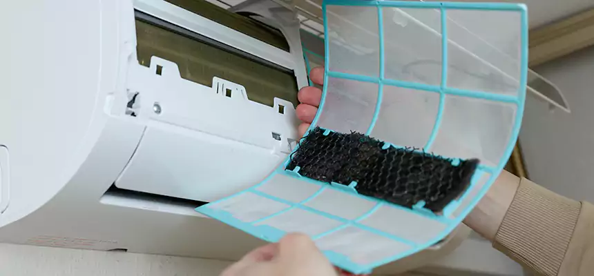 Gentle Ductwork Odor-Control Pet Dander Duct Cleaning in San Marcos, CA