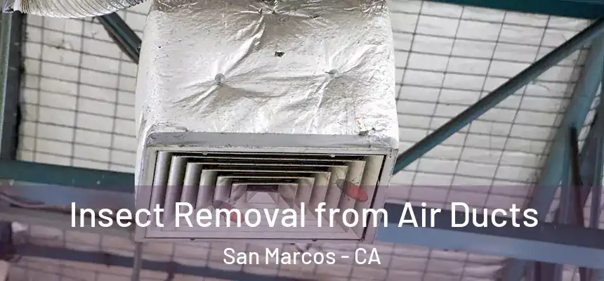  Insect Removal from Air Ducts San Marcos - CA