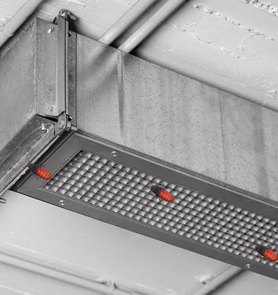 Affordable Insect Removal from Air Ducts in San Marcos, CA