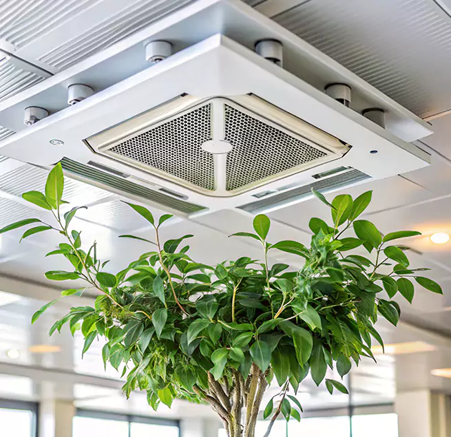 Why Homeowners & Businesses Trust Us in San Marcos, CA?