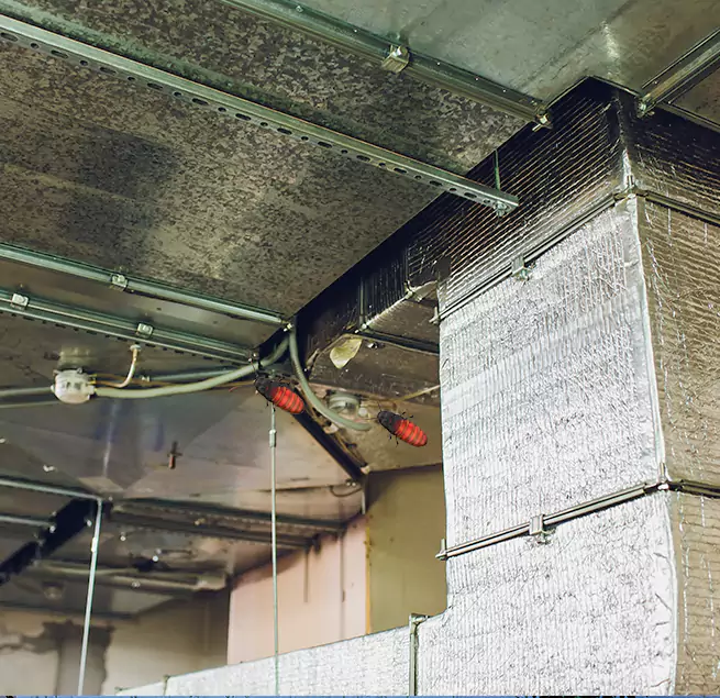 Why Homeowners & Businesses Trust Us San Marcos, CA?